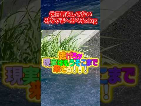 休日に夕方まで寝てる諸君へ。逃避しようね。 #vlog #散歩のサムネイル
