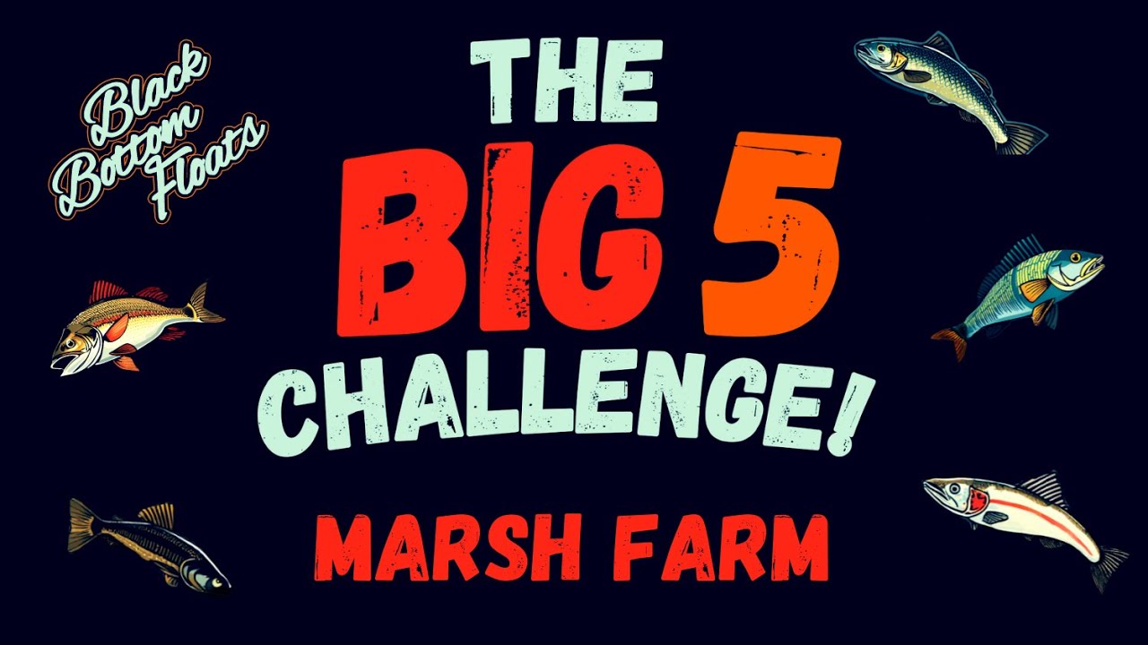 The Big 5 Challenge! - Day 1 - Marsh Farm Fishery