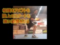 【銘苅メソッド】フットワーク偏　止まり方