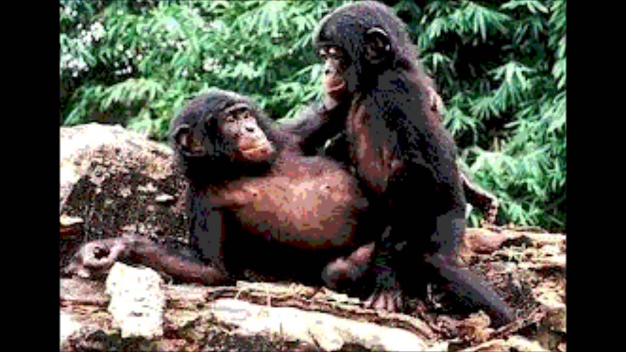 Junebug Video - "I Know Your Heart Is Set On Me"