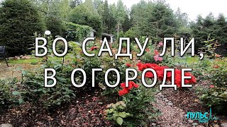 Садоводство в Петербурге и Ленинградской области
