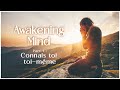 Awakening mind leveil de lesprit  part 1  connais toi toimme