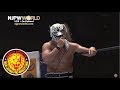 A passionate and violent brawl el desperado denies hiromu his happy ending