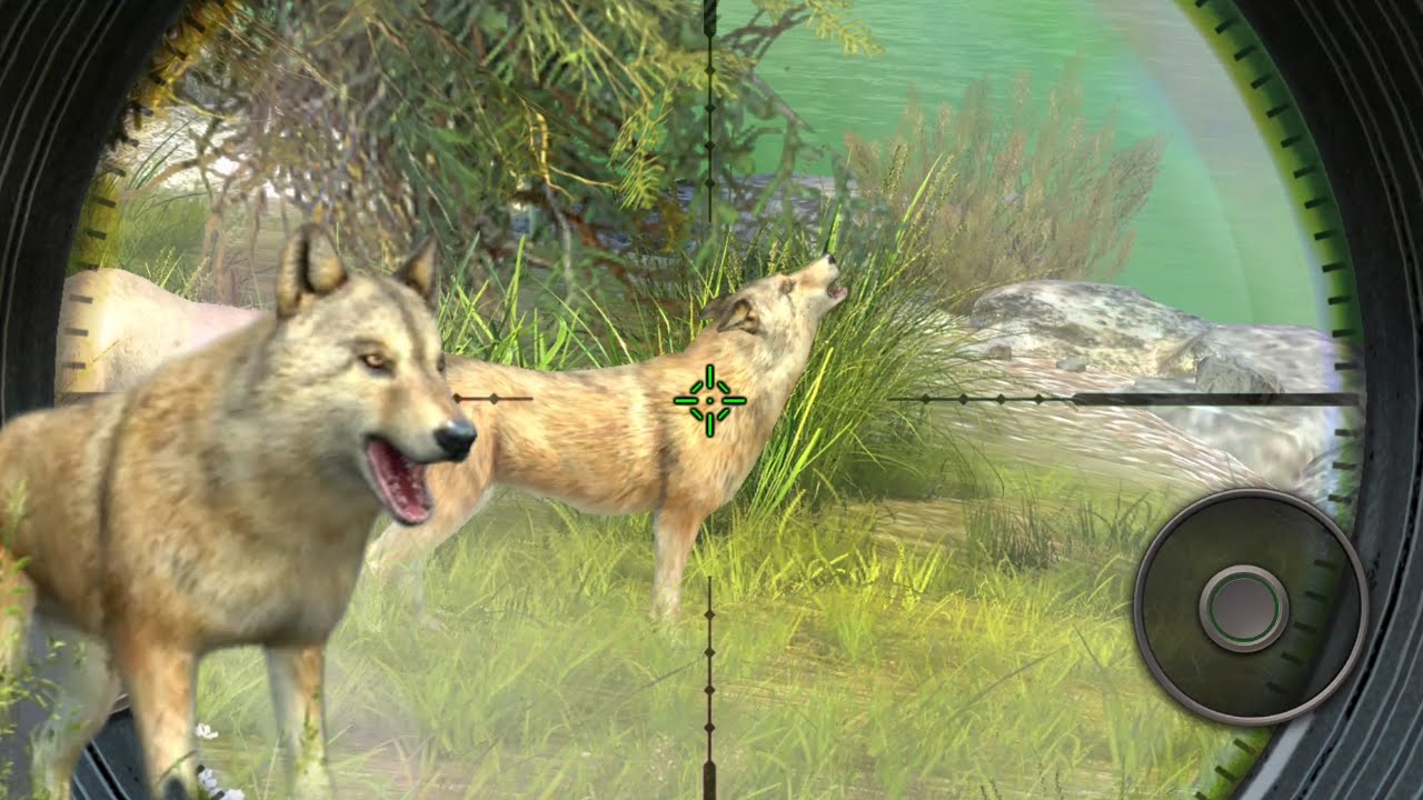 Hunting Clash: Hunter Games Gameplay Walkthrough iOS/Android