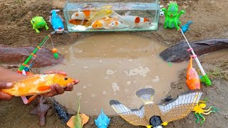 Looking for betta fish, big catfish, koi fish, ornamental fish, real lobsters, turtles, rabbits screenshot 2