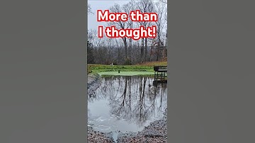 The water is draining fast! #ponds #water #rain #dirt #siphon #construction #drainage #blockage #wet