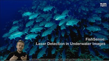 FishSense: Laser Detection in Underwater Images