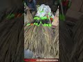 Best broom brand in India 2025
