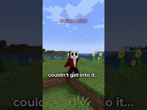 Minecraft Changed His