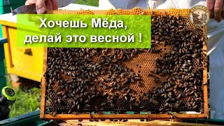 Чтобы много Мёда у пчёл было летом Делай это весной Расширение гнезда вощиной Почему это важно