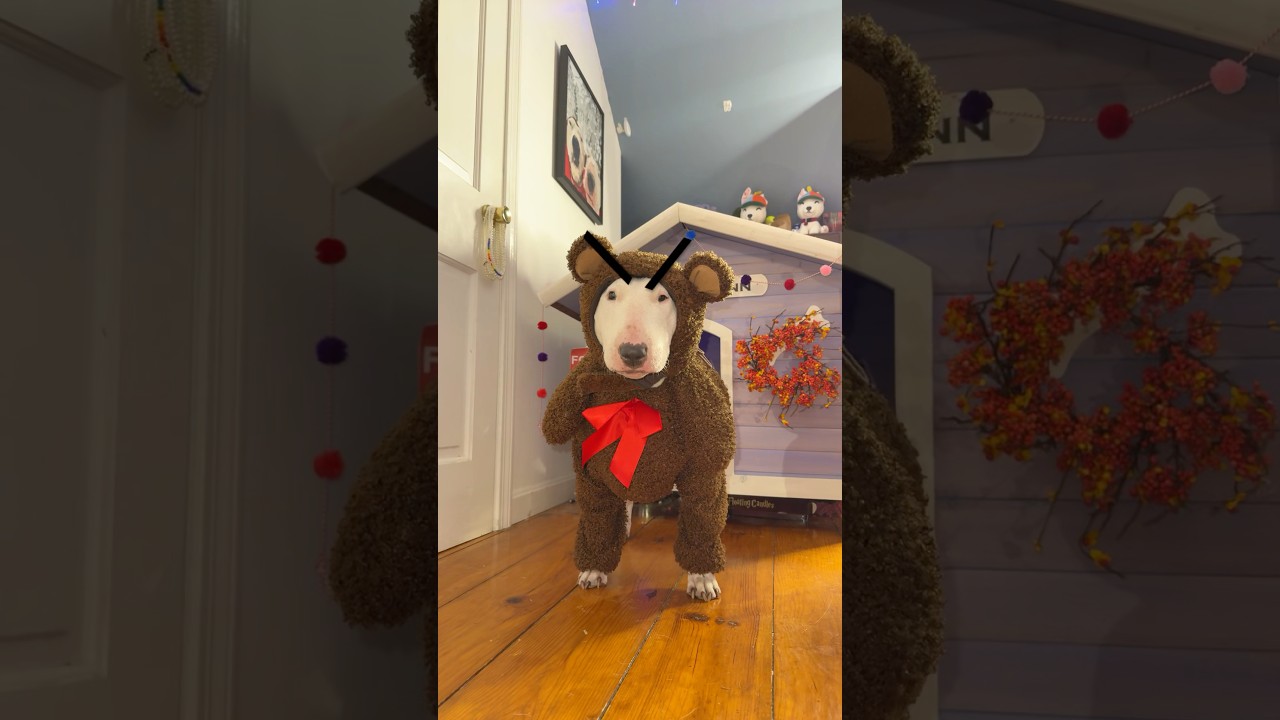 Will she ever get her cookie 🥺