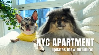 NYC Apartment Updates: Upgrading Our Living Room | Life in NYC