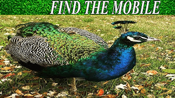 Can You Find The Hidden Objects | 99% Fail | New Game | Brain Teaser | Mind Booster