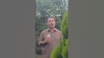 سورة الزمر | الآية ٩ | القارئ مهران هركي