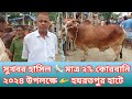 স্পেশাল অফার  হাসিল 5%থেকে কমিয়ে ২% নেওয়া হবে কোরবানি ২০২৪ উপলক্ষে হযরতপুর হাটে cow market price