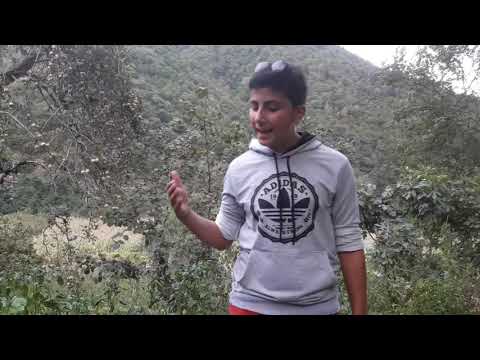 თავი მე-8 ნაწილი მეორე