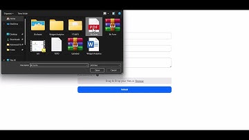 Video and PDF Preview Functionality of Advanced File Upload in Bit Form