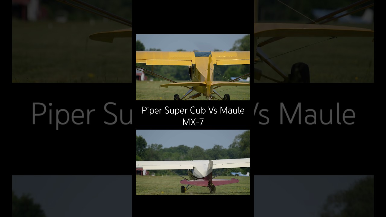 Drag Racing, Super Cub Vs Maule M-7 😂. Both great but different missions. #aviation #taildragger