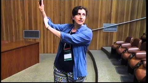 AASS WORKSHOP SVAN 2016 - Golbon Zakeri