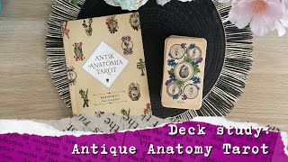 A month with the Antik Anatómia tarot (12 decks for 12 months #5)