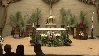 Pentecost Sunday May 24, 2026  Mass in Spanish