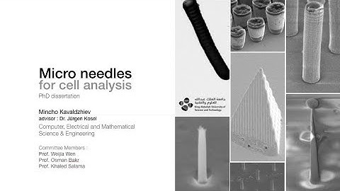 PhD Defense Presentation Mincho Kavaldzhiev