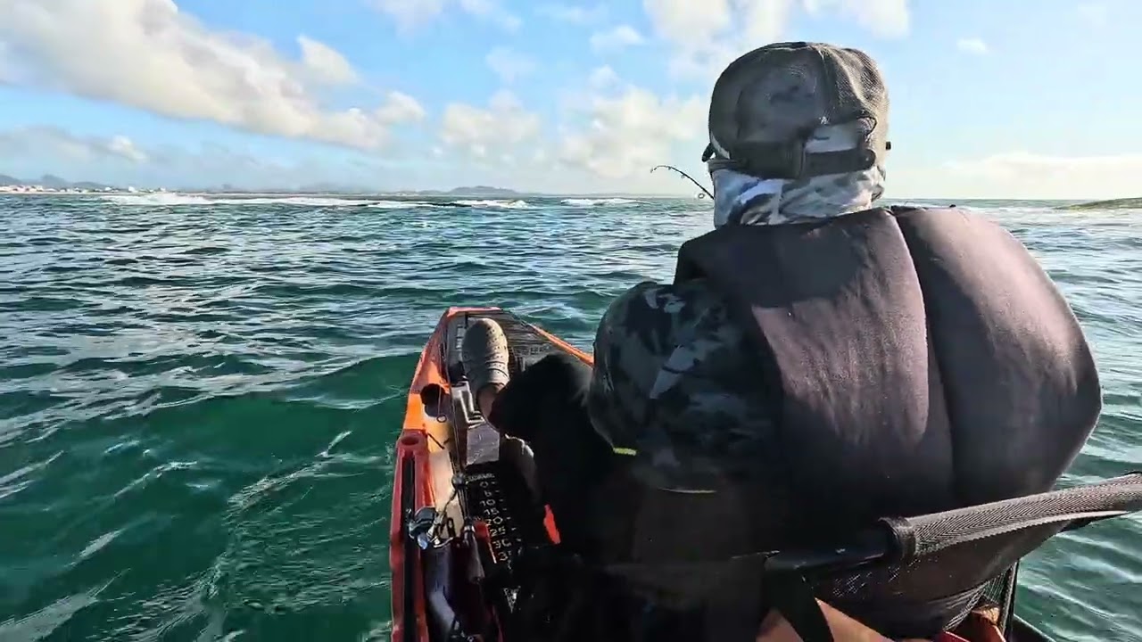 MUITO PEIXE NESSE CARNAVAL 