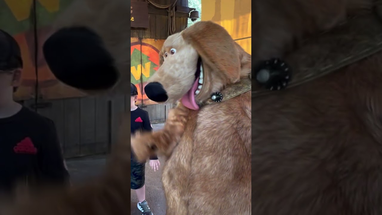 Meeting Dug & Russell from UP Meet & Greet in Animal Kingdom at Disney World #shorts