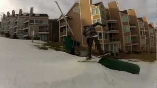 Wintergreen- Small Park Sesh