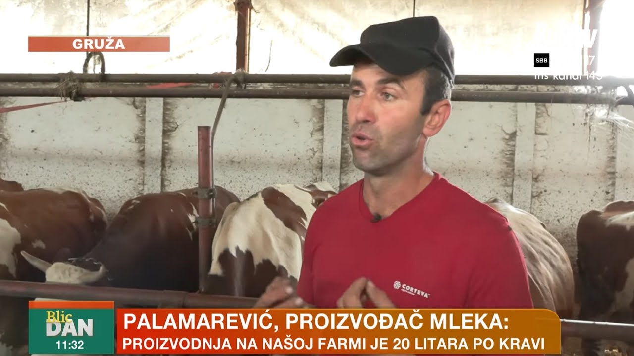 Falsifikovano mleko na tržištu - da li ga vaša deca piju svaki dan?