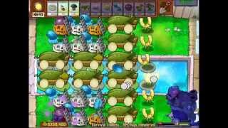 Plants vs Zombies Survival Endless Setup (ladders, no repair) screenshot 5