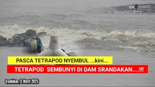Pasca Tetrapod Nyembul Pagi Ini Tak Nampak Di Aliran Dam Srandakan - Kemana Gerangan