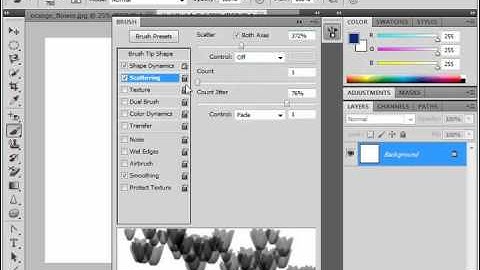 Photoshop CS5 Tutorial Setting Brush Scattering Adobe Training Lesson 6.5