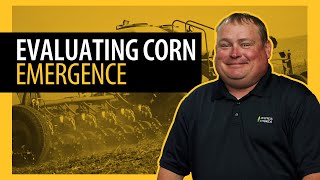 Evaluating Corn Emergence Progress