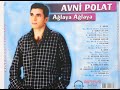 Avni Polat - Bingöle Bak (Official Audio)
