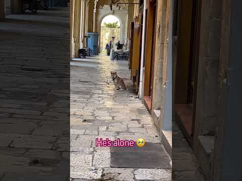 #music #rap #love #dog