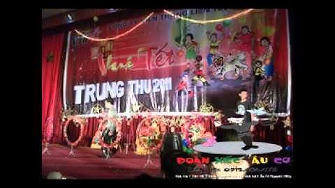 Cho thuê dịch vụ biểu diễn xiếc trăn