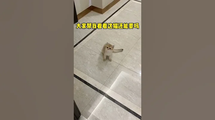 【牛奶是只猫】小老三已经被我扔了！谁要就去捡吧😼 - 天天要闻