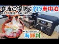 【字幕とBGM】寒波の夜に釣った魚だけで海鮮丼を作って食べる車中泊【Anker 767 Portable Power Station】