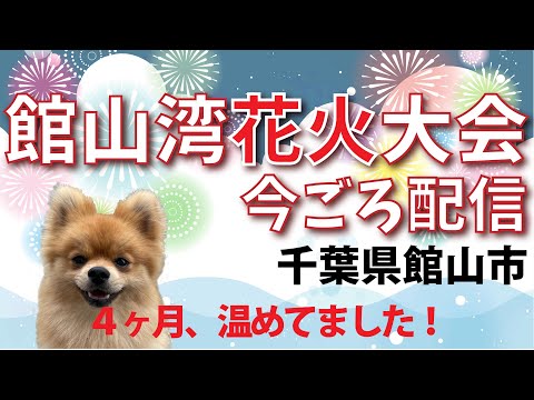 【今ごろ？配信】第59回館山観光まつり館山湾花火大会