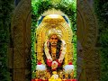 रडू नको भक्ता मामा पाठीशी आहे #shorts #shortsvideo #yt #youtubeshorts #trending