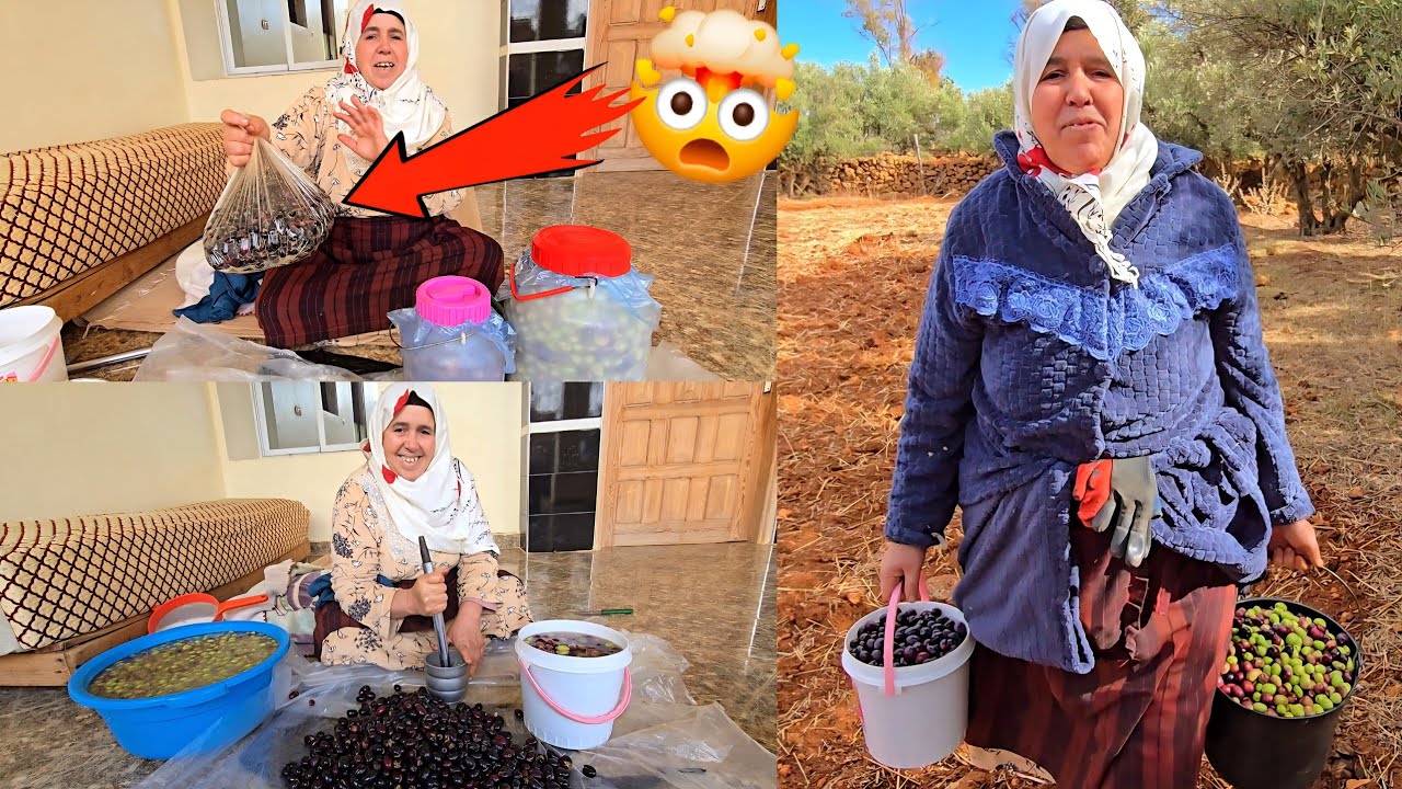 مي مليكة جابت لكم أخطر🚨طريقة فتحضير زيتون مرقد🫒ساهل سريع ومذاقو خطير😱