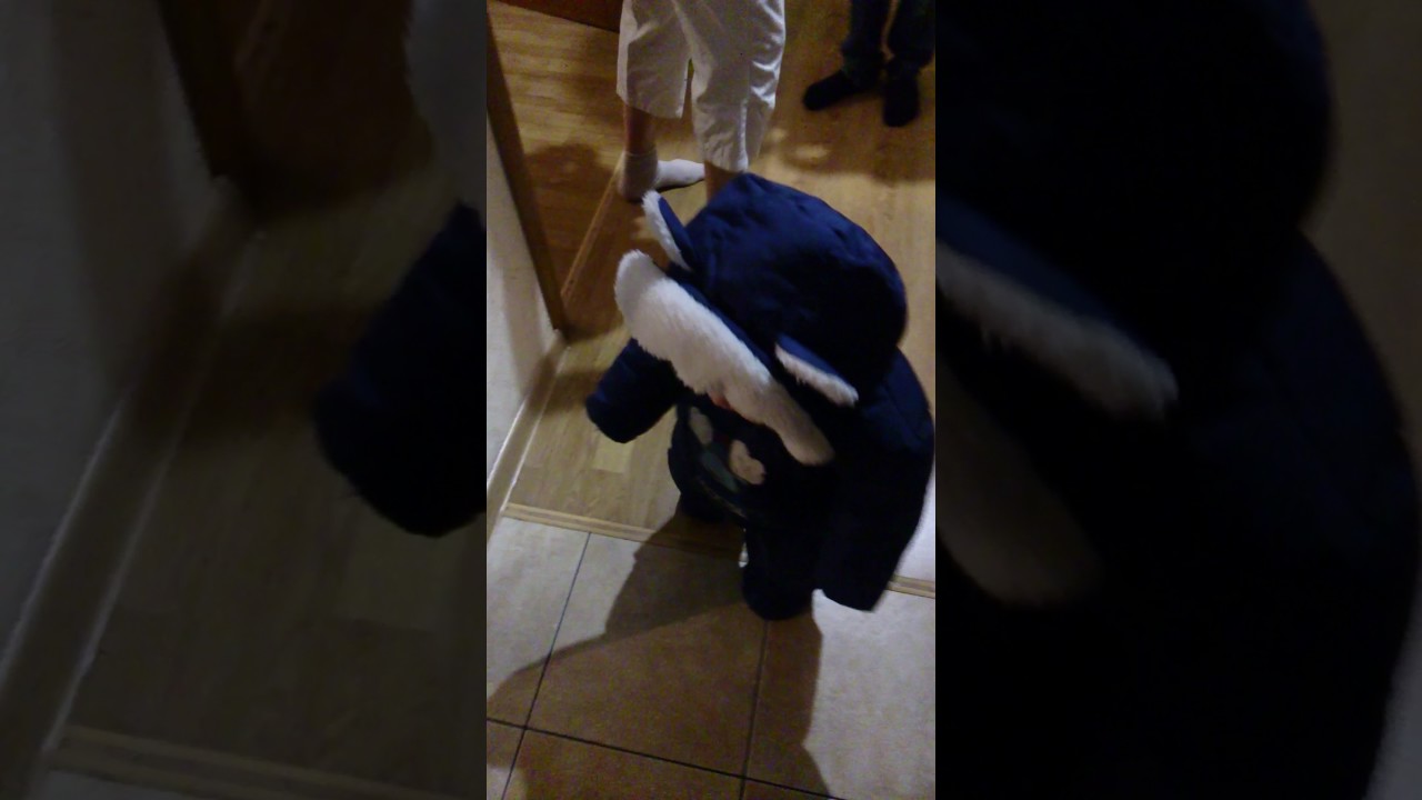 Мишки Гамми - YouTube