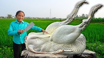 Bà Tân Vlog - Loài Chim Khổng Lồ Nhất Nướng Siêu Cay Đà Điểu Khổng Lồ Tại Vinhomes Ocean Park