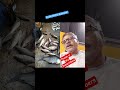 #பெரியகட்லாமீன் #shortvideo #fishspecies #fish #funny #தமிழ்ஷாட்ஸ் #reels #comedy #kingfish#fishing