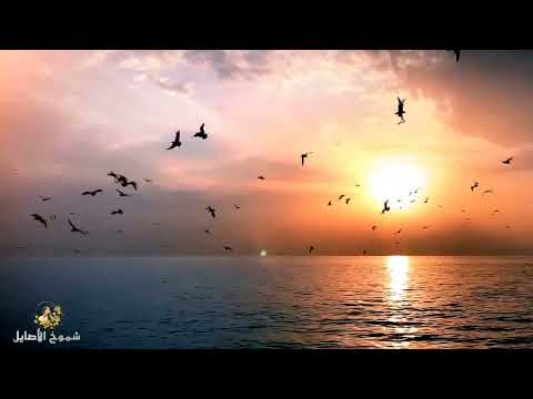 مسعود كرتس يا رمضان