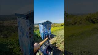 Flow Hive – The Easiest Way to Harvest Honey 🍯🐝