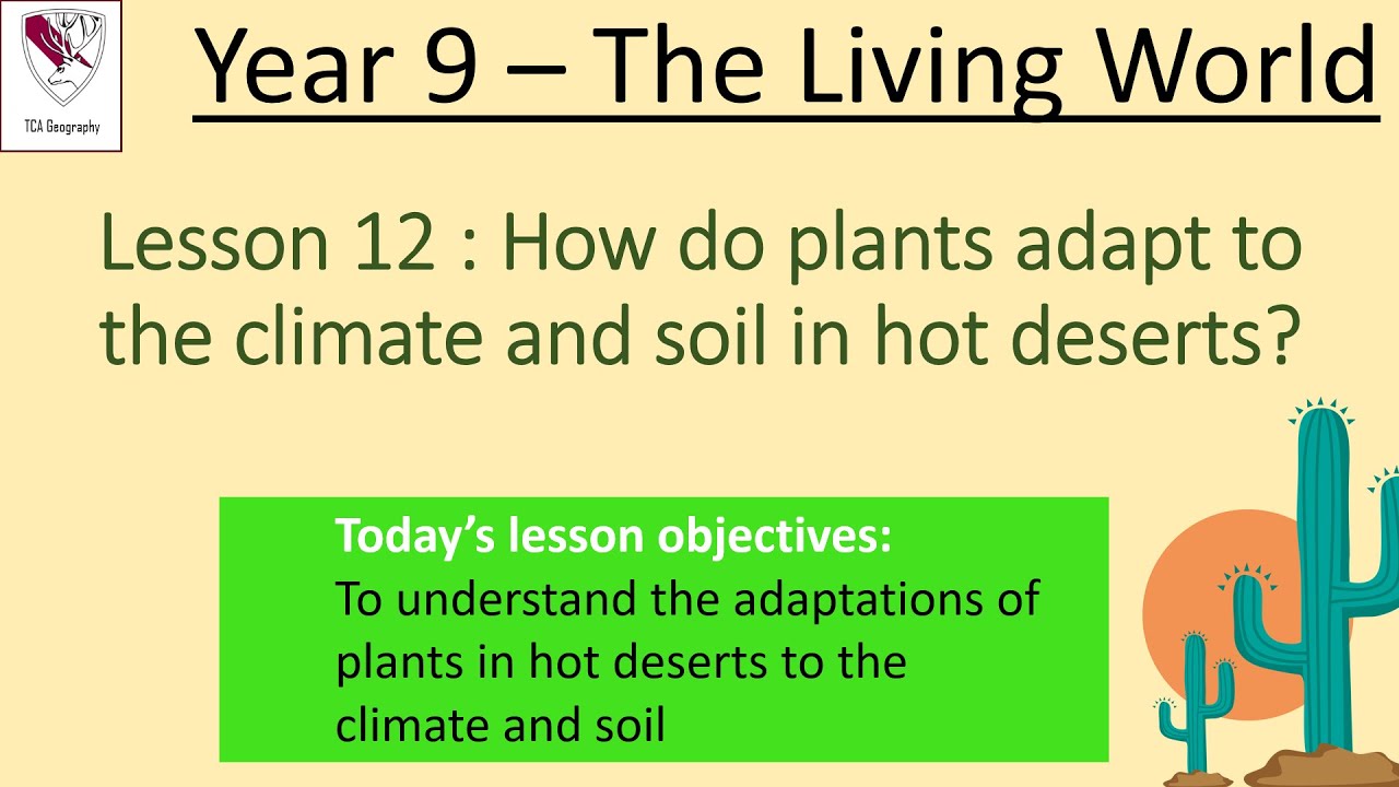 Year 9 The Living World Lesson 12 Adaptations of plants to hot desert