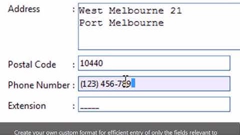 WebInput - Masked Input
