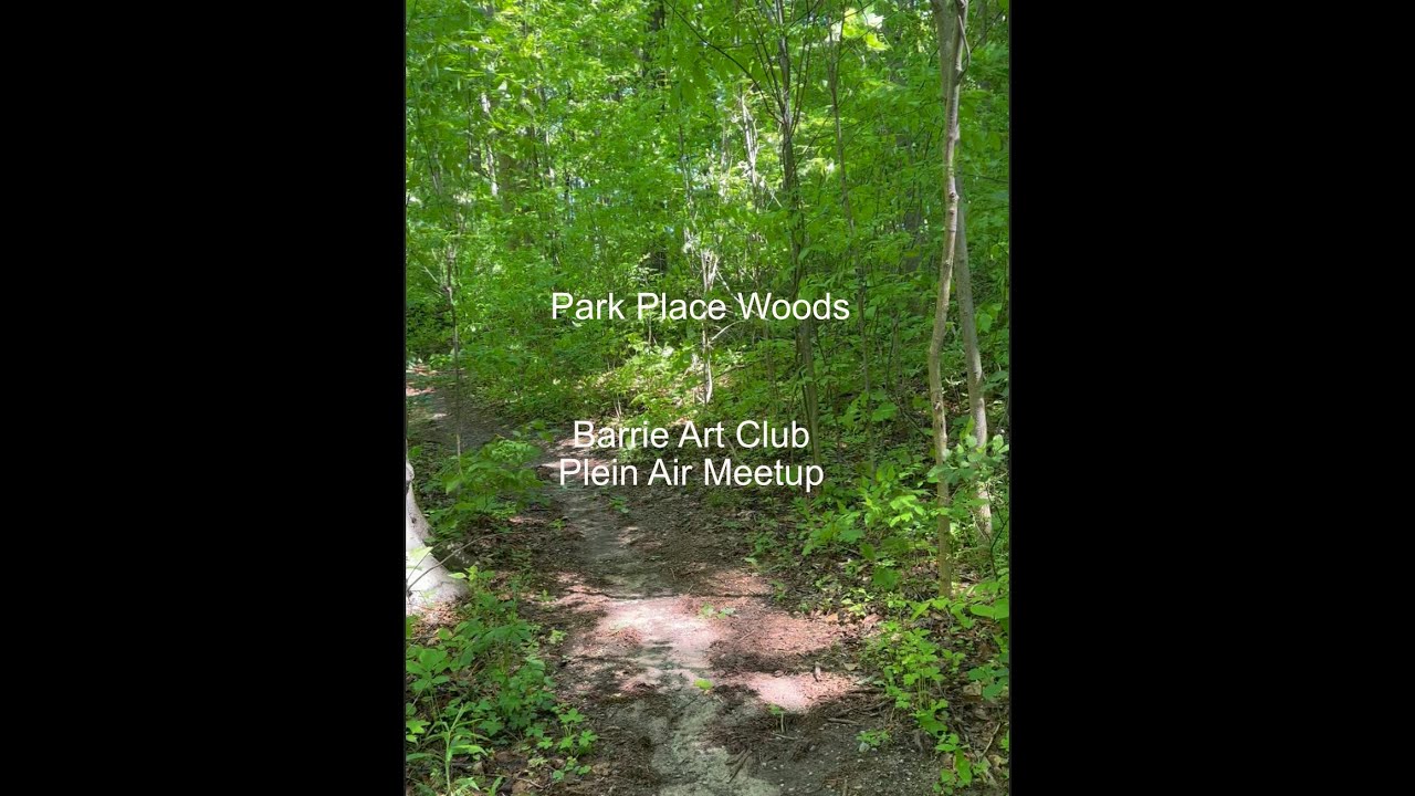 Park Place Plein Air Meetup, Barrie, Ontario